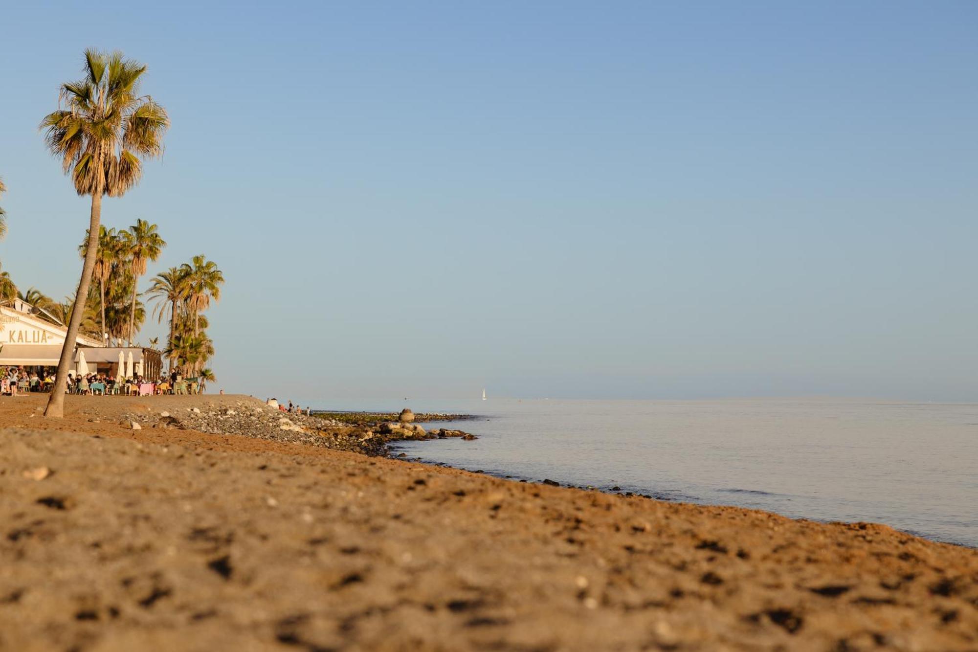 With Large Terrace, Swimming Pool And Areas, Next To Puerto Banus